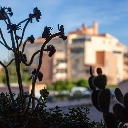 Proche Des Plages Lejlighed *