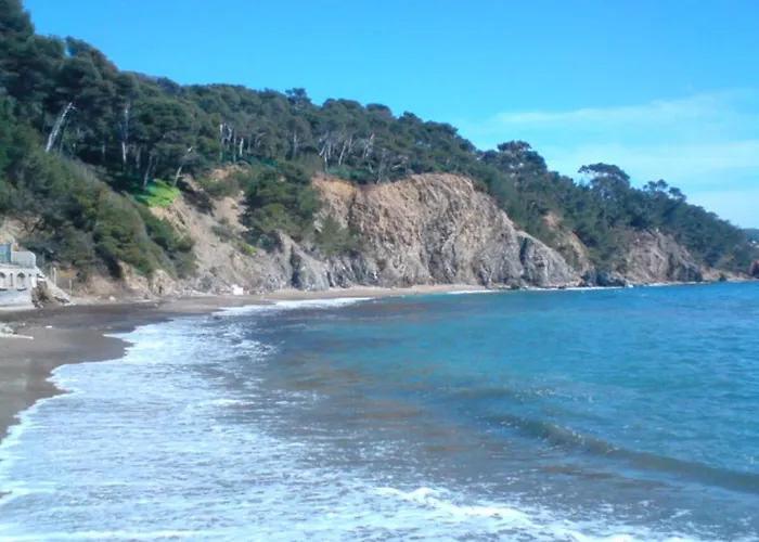 Proche Des Plages Apartment Le Pradet