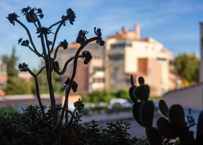 Proche Des Plages Apartment *